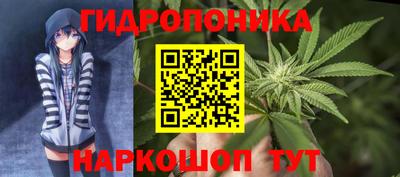 прущие крисы Малгобек