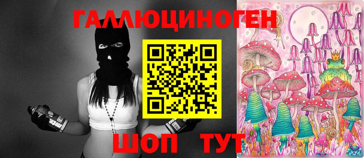 Вязьма  Псилоцибиновые грибы прущие грибы  Вход с VPN  Псилоцибиновые грибы Psilocybine cubensis 